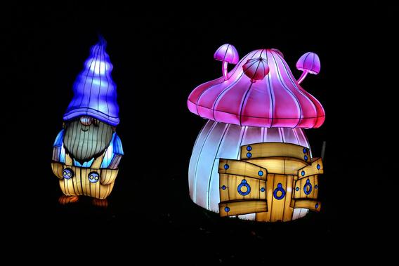Mini_dsc_0695