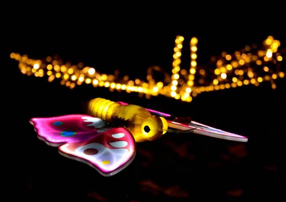 Mini_dsc_0741_01