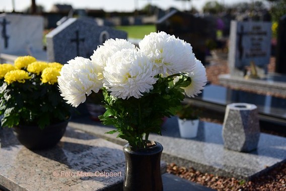 Editie_galmaarden_kerkhof_2__kopie_