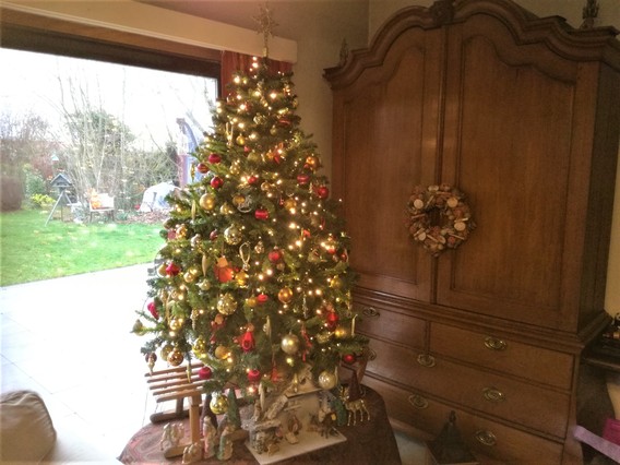 Colpaert_galmaarden_kerstboom