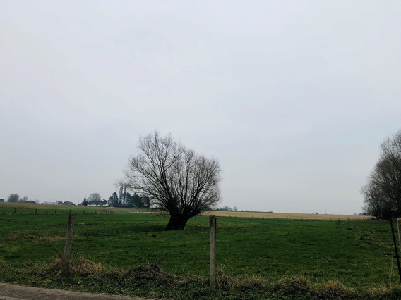 Foto_kareelstraat