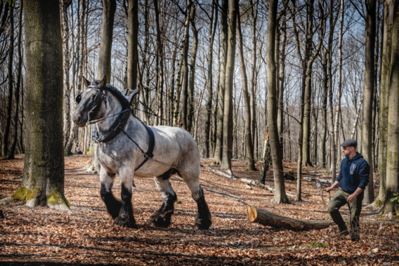 Scherm__afbeelding_2023-03-10_om_13
