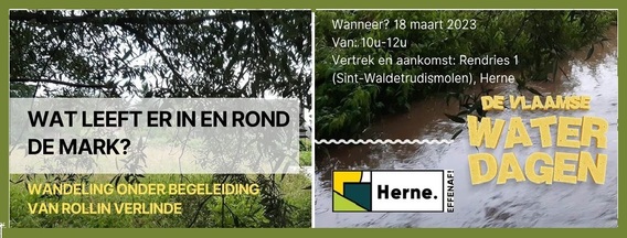 Waterdagen_2023_a