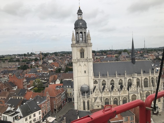 Basiliek_