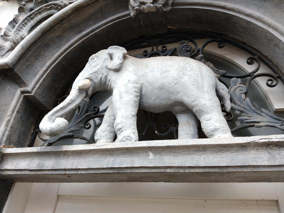 Olifant_grote_markt_