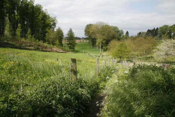 Landschapspark_pajottenland