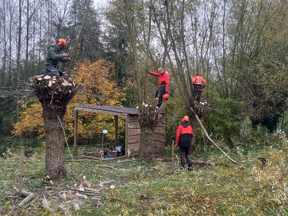 Knotcursus