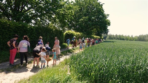 4_wandeling_hvhk_en_ferm_bever_mei_2023__10_