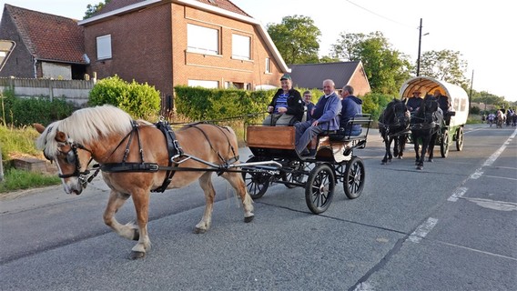 Paardenprocessie_2023_selectie_ep___8_