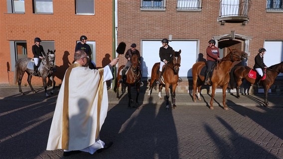 Paardenprocessie_2023_selectie_ep___16_