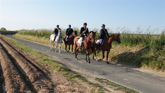 Paardenprocessie_2023_selectie_ep___25_