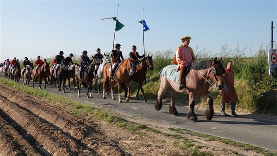 Paardenprocessie_2023_selectie_ep___26_