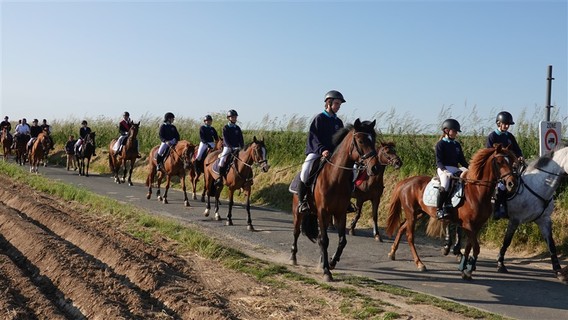 Paardenprocessie_2023_selectie_ep___28_