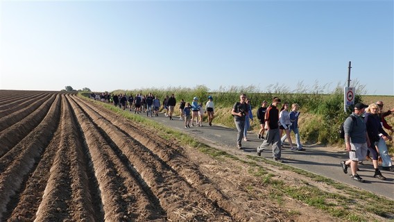 Paardenprocessie_2023_selectie_ep___33_