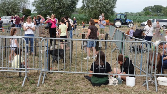 Waanzinnig_weekend_zondag_familiedag__10_