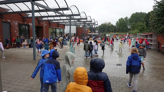 De_bloesem__3_