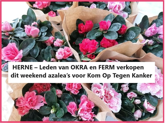 Aankondiging_plantjesverkoop