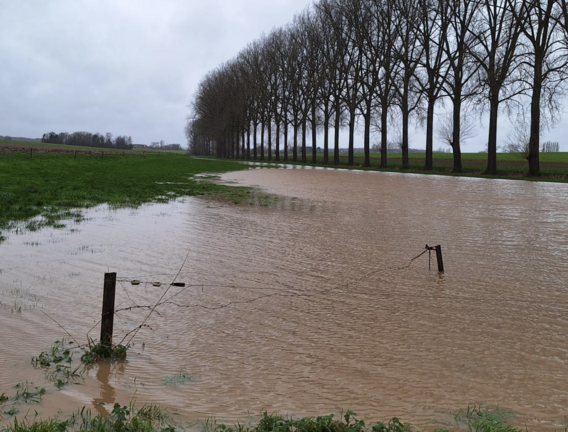 Scherm__afbeelding_2024-01-02_om_22