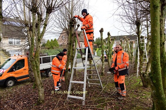 Editie_gooik_werkmannen_bezig_2__kopie_