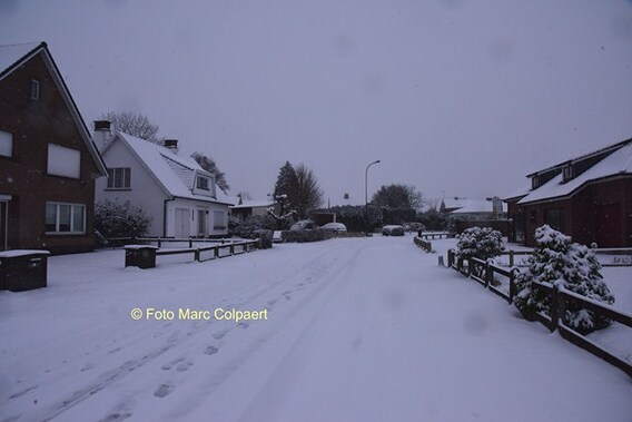 Editie_herne_groene_boom_sneeuw_2__kopie_