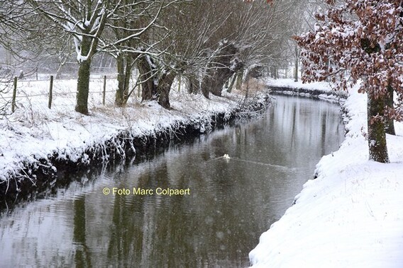 Editie_galmaarden_sneeuw_2__kopie_