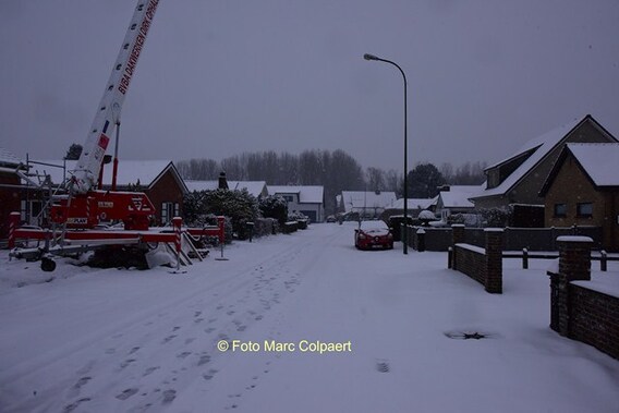 Editie_herne_groene_boom_sneeuw___kopie_