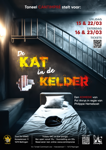 De_kat_in_de_kelder_affiche