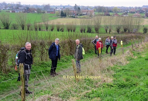 Editie_herne_wandelaars_2__kopie_