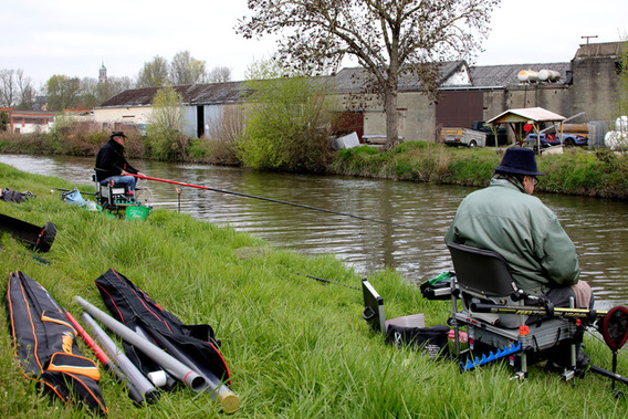 Denderhoop-beeld