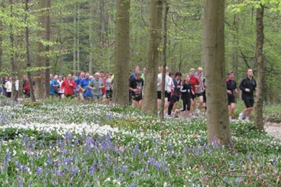 Scherm__afbeelding_2024-04-11_om_17
