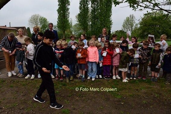 Editie_gooik_bloemen_zaad_4__kopie_