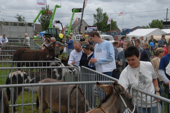 2007-05-28_herne_jaarmarkt_3