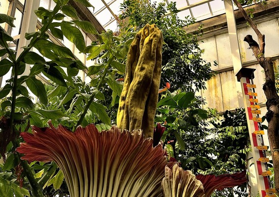 Dsc_9768_02__groot_