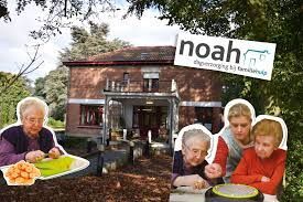 Editiepajot_bart_devill___noah_beersel