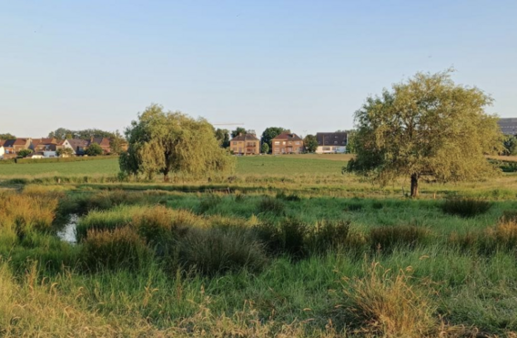 Scherm__afbeelding_2024-06-29_om_09