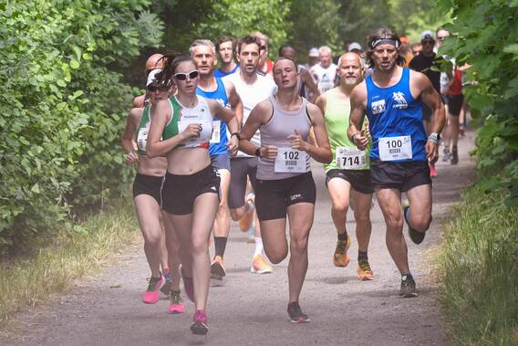 Start_rtgo_3__1_