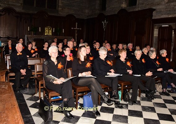 Editie_herne_kerk_3__kopie_