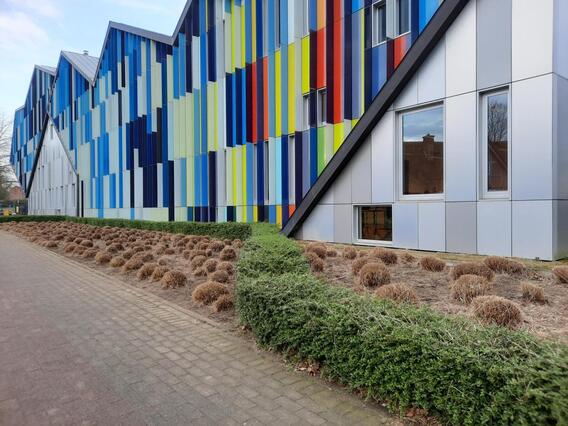 A_siergrassen_communicatie_dilbeek
