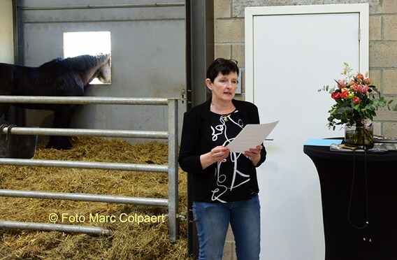 Editie_galmaarden_stal_de_beuf_paarden_3__kopie_