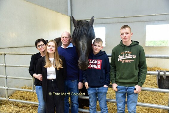Editie_galmaarden_stal_de_beuf_paarden_5__kopie_