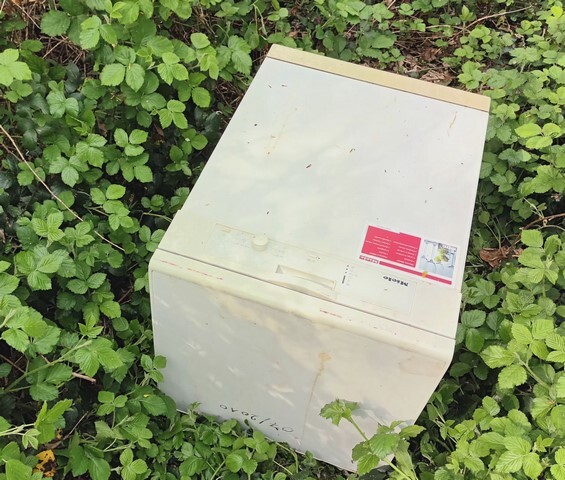 20250422_154901__kopie_