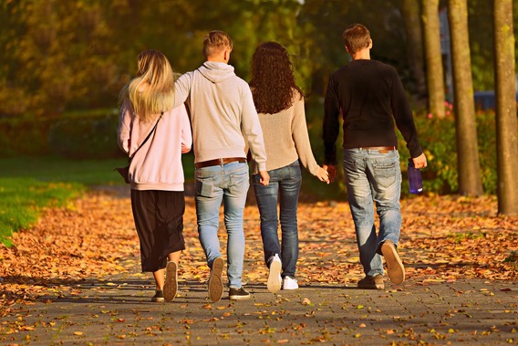 Strolling-3755342_1920