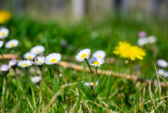 Scherm__afbeelding_2025-04-30_om_22