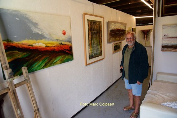 Editie_gooik_guy_kunst_3__kopie_