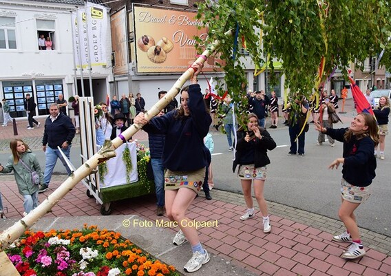 Editie_galmaarden_kermis_meiboom_0__kopie_