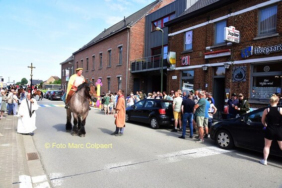 Editie_gooik_paarden_2__kopie_