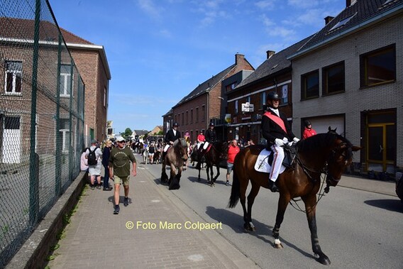 Editie_gooik_paarden_3__kopie_