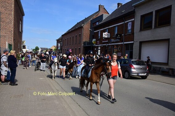 Editie_gooik_paarden_4__kopie_