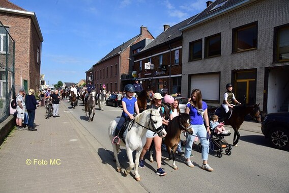 Editie_gooik_paarden_5__kopie_