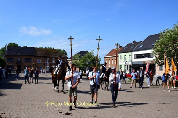 Editie_gooik_paarden_9__kopie_